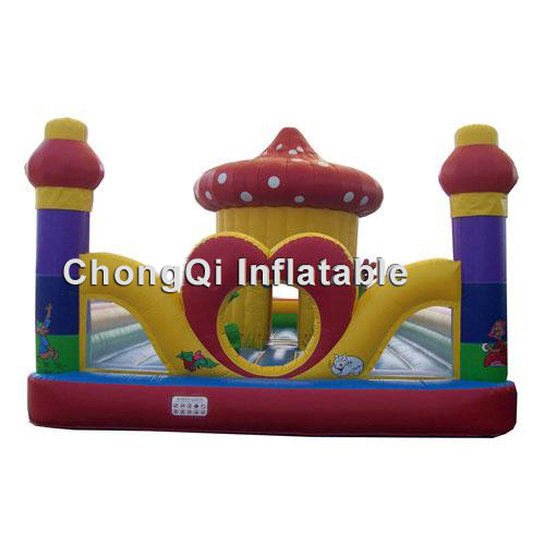 inflatable bouncer